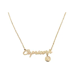 Capricorn Zodiac Necklace (gold)