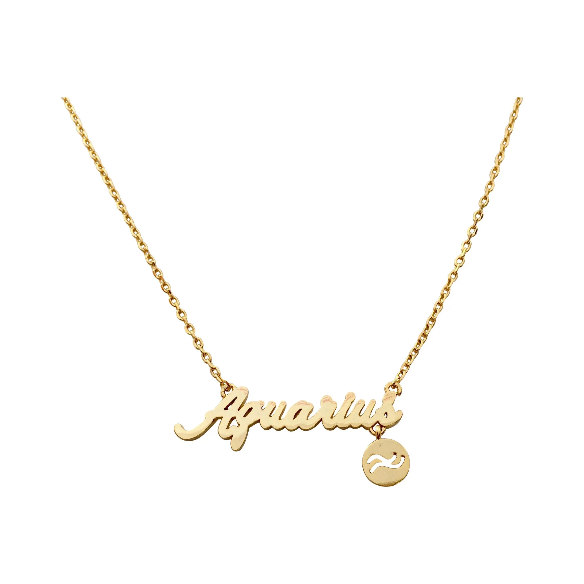 Capricorn Zodiac Necklace (gold)