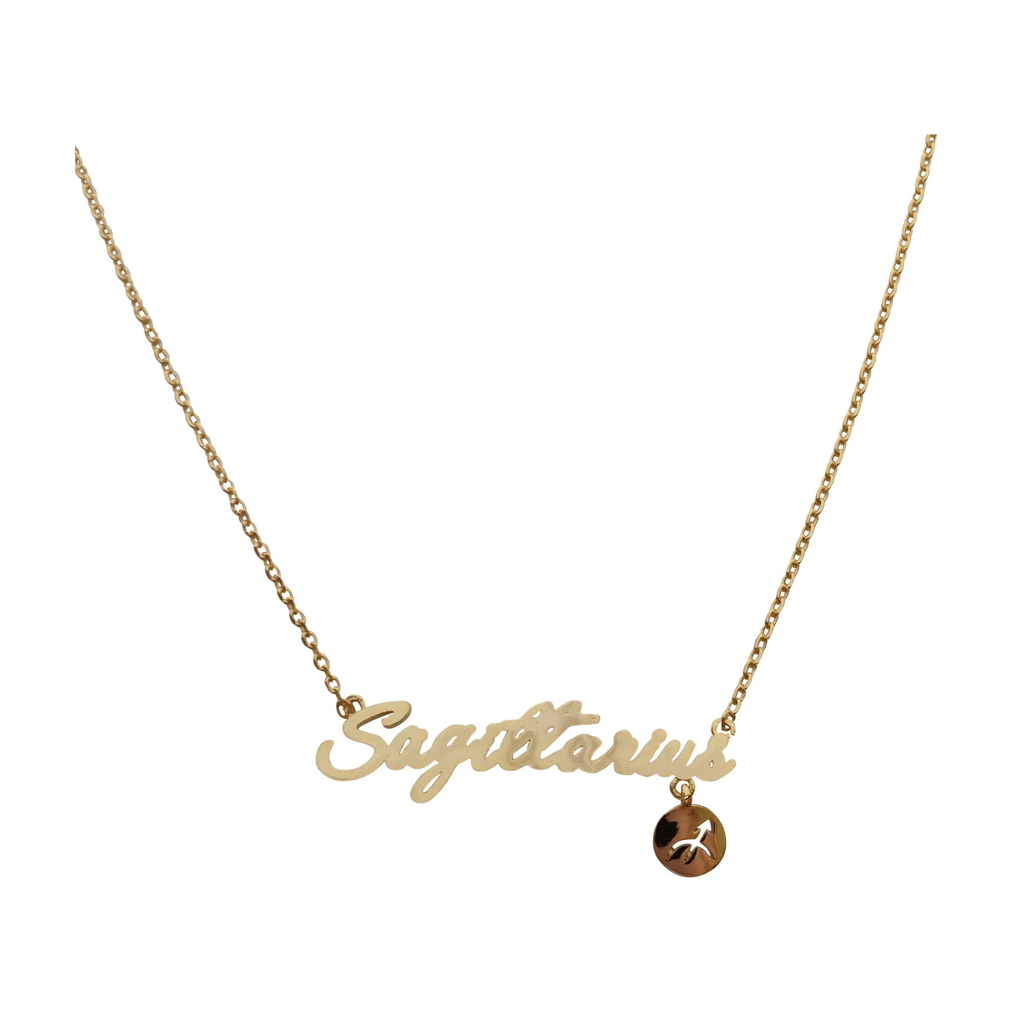 Capricorn Zodiac Necklace (gold)