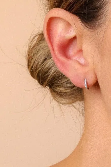 Small Hoop Stud Earrings